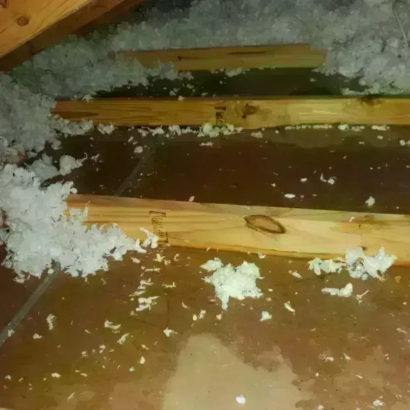 Attic Water Damage in Douglas County, IL