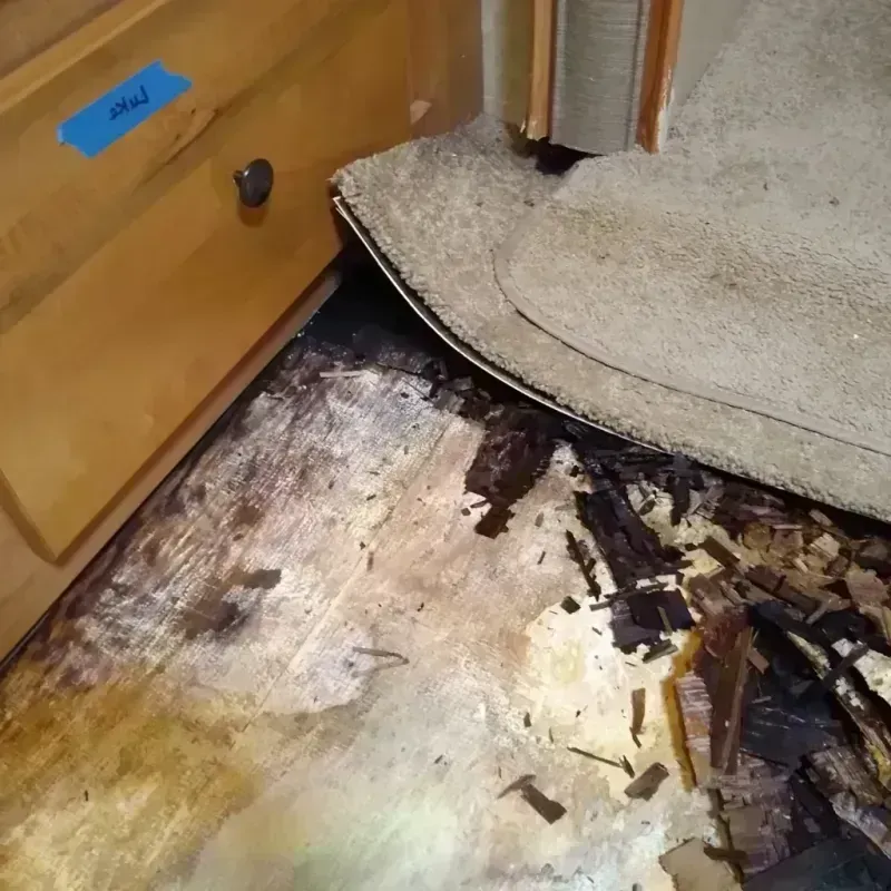 Wood Floor Water Damage in Douglas County, IL